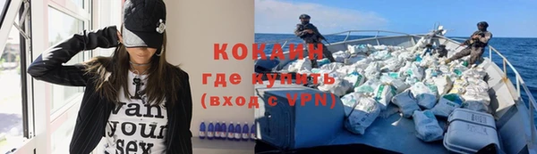 тгк Болотное