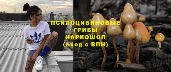 дурь Заволжье
