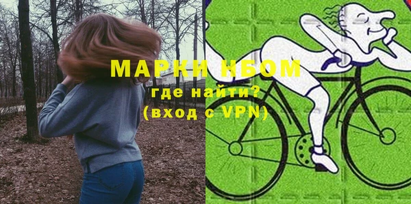 меф Ельня